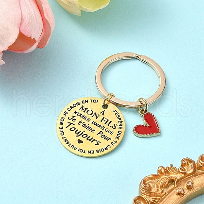 Alloy Enamel & 201 Stainless Steel Keychain KEYC-YW00101-04-1