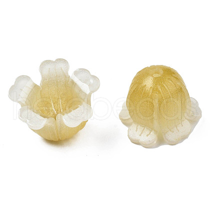 Plastic Beads KY-N015-116B-1