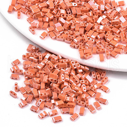 2-Hole Glass Seed Beads SEED-S031-M-SH130-1