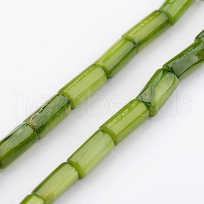 Natural Shell Bead Strands X-BSHE-P016-16-1
