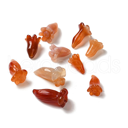 Natural Carnelian Beads G-C054-09F-1