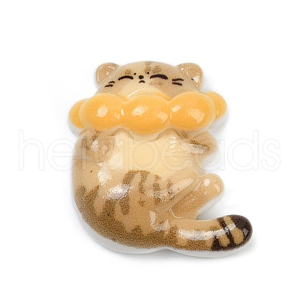Cute Resin Cabochons CRES-D302-01D-1