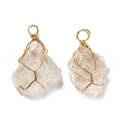 Raw Rough Natural Gemstone Iron Wire Wrapped Pendants G-H308-03G-01-1