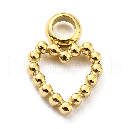 304 Stainless Steel Charms STAS-B044-20G-1