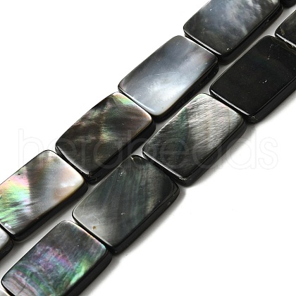 Natural Black Lip Shell Beads Strands BSHE-D300-03-13x18mm-1