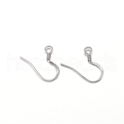 DanLingJewelry 304 Stainless Steel Earring Hooks STAS-DL0001-05P-1