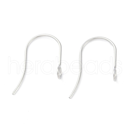 Tarnish Resistant 316 Surgical Stainless Steel Earring Hooks STAS-P162-13P-B01-1