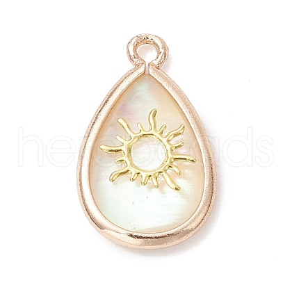 Natural Paua Shell Teardrop Pendants PALLOY-JF03762-03-1