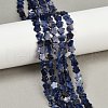 Natural Sodalite Beads Strands G-B138-C12-01-1
