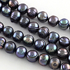 Natural Cultured Freshwater Pearl Beads Strands PEAR-R012-01-5