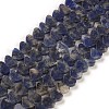 Natural Sodalite Beads Strands G-M403-A08-1