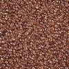 12/0 Grade A Round Glass Seed Beads SEED-Q011-F501-2