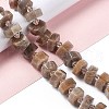 Natural Sunstone Beads Strands G-C008-B01-2