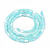 Natural Trochid Shell/Trochus Shell Beads Strands SHEL-N003-26-B09-2