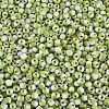6/0 Glass Seed Beads SEED-S007-8-3
