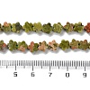 Natural Unakite Beads Strands G-B138-C07-01-5