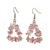 Natural Mixed Stone Beads Dangle Earrings EJEW-JE06388-4