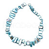 Natural Freshwater Shell Beads Strands X-SHEL-N026-123F-3