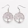 Dangle Earrings EJEW-N0030-02-1