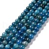 Natural Apatite Beads Strands G-P132-04-8mm-1