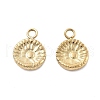 304 Stainless Steel Charms STAS-Z121-37G-1