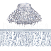 10M Paillette Tassel Ribbon Trim OCOR-WH0078-162B-1