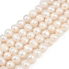 Natural Cultured Freshwater Pearl Beads Strands PEAR-I007-07Z-09C-2