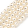 Glass Pearl Beads Strands HY-G002-01B-02-1