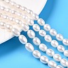 Natural Cultured Freshwater Pearl Beads Strands PEAR-N012-07U-1-1