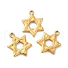 Ion Plating(IP) 304 Stainless Steel Pendants STAS-Q001-02G-2