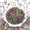 Glass Seed Beads SEED-N007-09-2