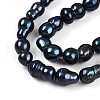 Natural Nucleated Baroque Keshi Pearl Beads Strands PEAR-S020-F13-4