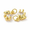 Brass Micro Pave Clear Cubic Zirconia Charms ZIRC-F135-25G-03-3