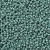 MIYUKI Round Rocailles Beads SEED-G007-RR2028-1