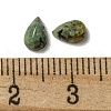 Natural African Turquoise(Jasper) Cabochons G-Q173-02A-02-3