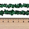 Transparent Glass Beads Strands GLAA-Z009-01F-4