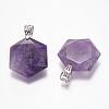 Natural Amethyst Gemstone Pendants G-E338-09K-1