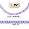 Polyester Ribbon OCOR-WH0086-77D-2
