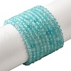 Natural Amazonite Beads Strands G-V001-A01-3mm-2
