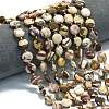 Natural Zebra Jasper Beads Strands G-C116-A100-01-1
