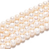 Natural Cultured Freshwater Pearl Beads Strands PEAR-N013-04F-2