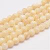 Natural Shell Bead Strands G-K153-B47-6mm-1