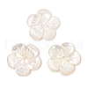 Natural White Shell Carved Beads SSHEL-I026-12F-07-1