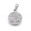 304 Stainless Steel Pendants STAS-P209-15-2