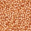 TOHO Round Seed Beads X-SEED-TR11-0391-2