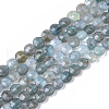 Natural Apatite Beads Strands G-S362-010-1