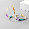 Elegant S925 Sterling Silver Hoop Earrings DH6227-2