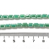 Electroplate Glass Beads Strands EGLA-D031-01B-4