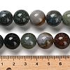 Natural Indian Agate Beads Strands G-G175-A06-01-5