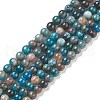 Natural Apatite Beads G-E481-05-6mm-01-1